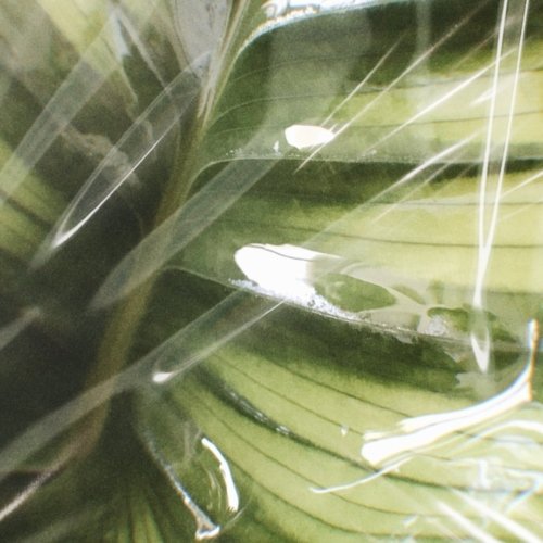 Costa Rica, une source d&rsquo;inspiration pour le reste du monde