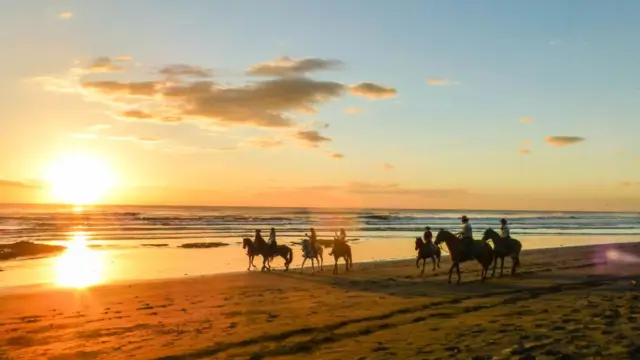Balade à cheval sur Playa Guiones à proximité de Nosara sur la Côte Pacifique du Costa Rica
