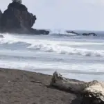 La plage d'Ostional sur la côte Pacifique du Guanacaste au Costa Rica, site de ponte important pour les tortues marines