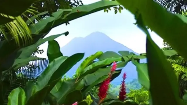arenal volcan - jungle - Costa Rica