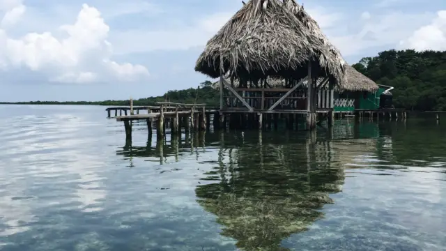bocas del toro