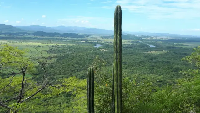 Paysage de Palo Verde, avec la vue sur les marécages