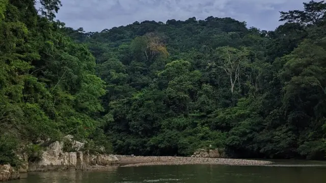 Paysage du parc national de Chagres dans les environs de Panama City