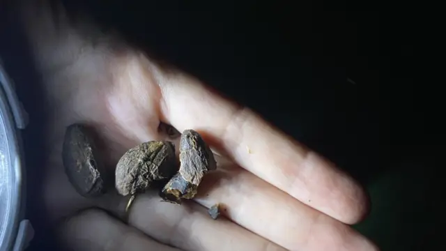 Le chocolat du Costa Rica : une histoire riche et un futur durable