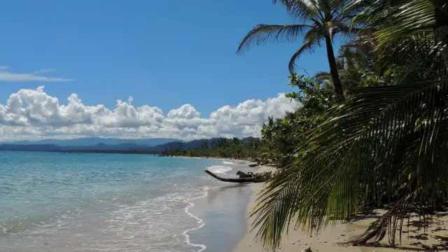 Plage du parc national de Cahuita au Costa Rica