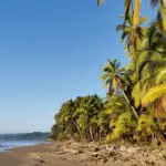 Plage de Tango Mar à Tambor avec ses cocotiers