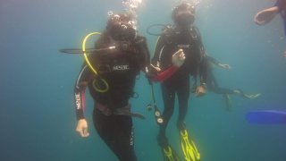 Equipe de Terra Caribea