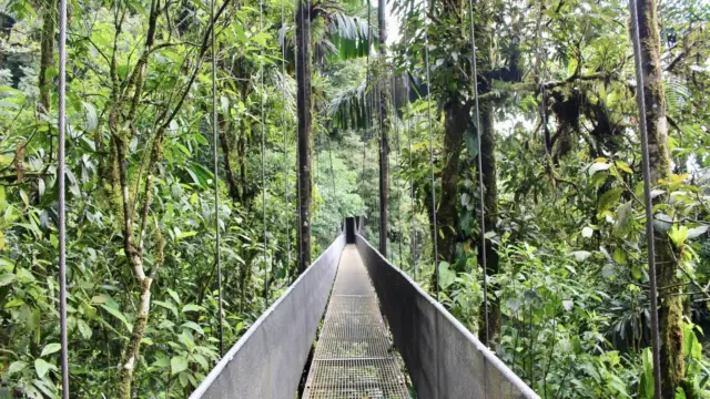 Pont suspendu dans une foret tropicale du Costa Rica