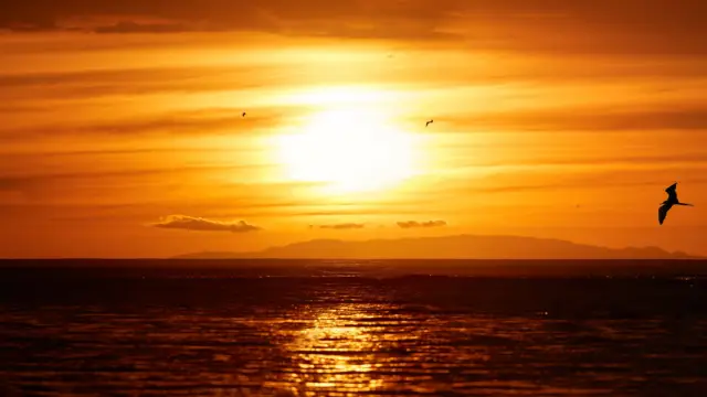 An evening view of the Pacific Coast of Tarcoles lit by the setting sun, glittering waves against a mountainous island. Frigatebirds against the setting sun. Jungle crocodiles. Tarcoles, Costa Rica.