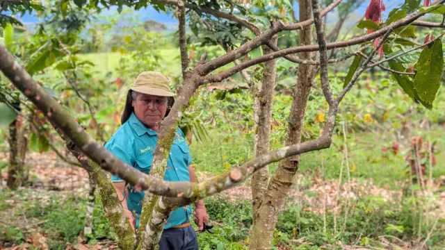 Finca écologique - Costa Rica