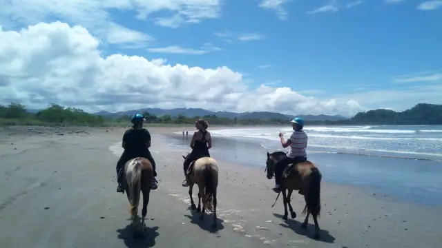 Photo d'une balade à cheval sur la plage.
