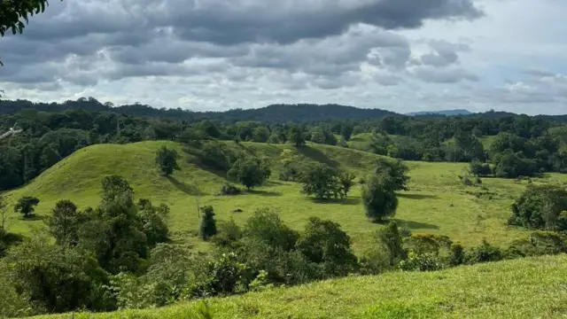 Plaine de Sarapiqui