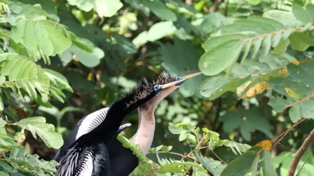 Récit de voyage : le nord authentique du Costa Rica par Milena et Céline de Terra Caribea