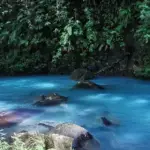 Le Rio Celeste au sein du parc national de Tenorio dans le nord du Costa Rica