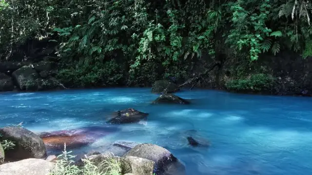 Le Rio Celeste au sein du parc national de Tenorio dans le nord du Costa Rica