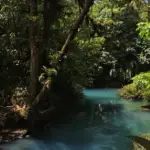 Le Rio Celeste et ses incroyables couleurs, parc national de Tenorio