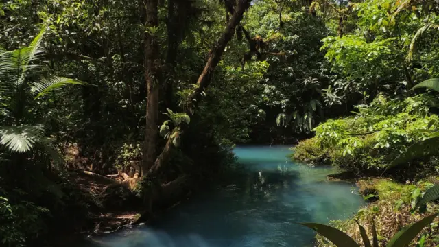 Le Rio Celeste et ses incroyables couleurs, parc national de Tenorio