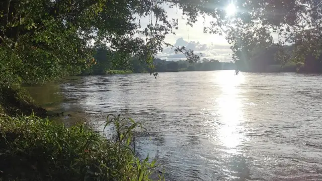 Vue du fleuve San Carlos depuis Boca Tapada