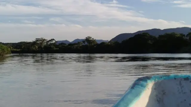Safari flottant sur le Rio Tempisque de Palo Verde au Costa Rica