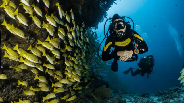 Faire de la plongée au Costa Rica: les meilleurs spots