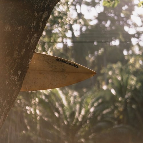 Le Costa Rica, paradis du surf et de la biodiversité