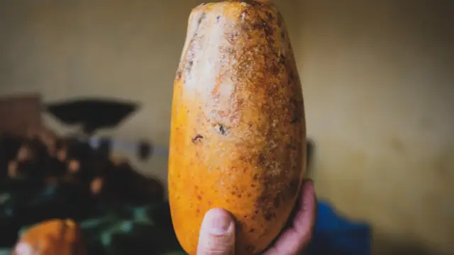 papaya