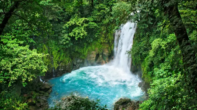 Parc national de Tenorio