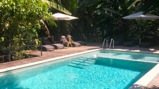Piscine du Tangara Azul à Ojochal