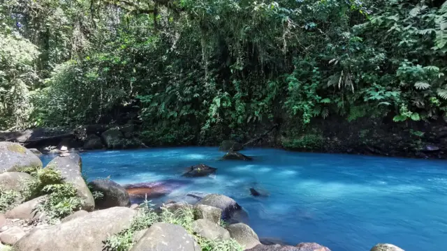 Vue du Rio Celeste, parc national de Tenorio au Costa Rica