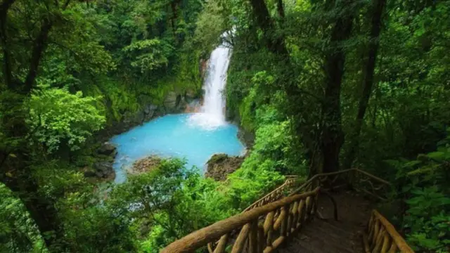 Vue de la cascade de Tenorio et du Rio Celeste