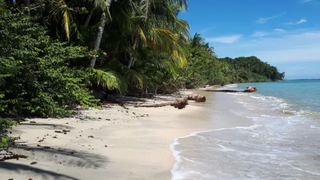 caraibes sud plages