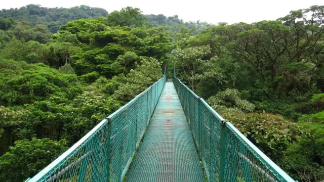 ponts suspendus Monteverde