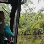 Guide naturaliste dans les méandres de Tortuguero au cours d'un safari flottant