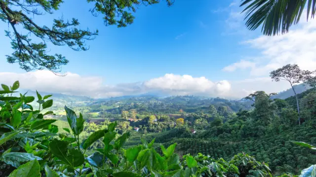 Photo de Turrialba montrant la végétation et un beau ciel bleu.