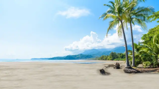 Plage du Parc National Marino Ballena