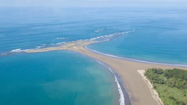 Parc national de Marino Ballena à Uvita au Costa Rica