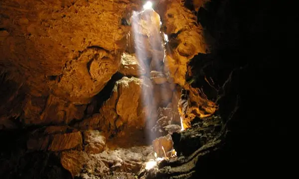 caves venado