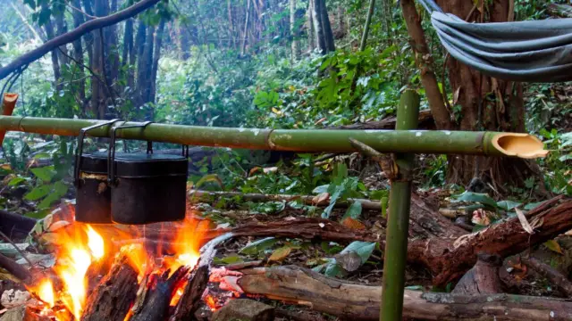 survie jungle costa rica