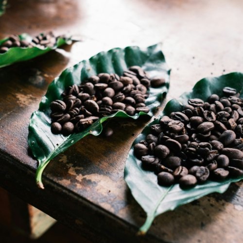 Costa Rica, terre de café : guide et inspirations – par Esteban Alvarado