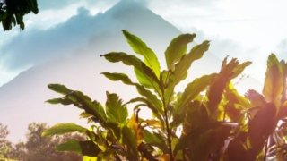 Voyager durablement au Costa Rica : des ressources pour adopter les bons réflexes