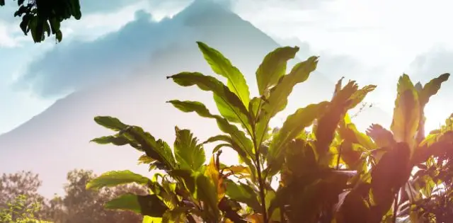 Voyager durablement au Costa Rica : des ressources pour adopter les bons réflexes