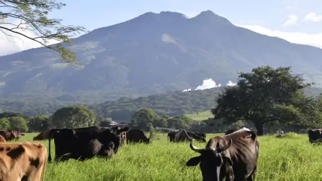 Le volcan Miravalles et son activité volcanique au Costa Rica