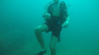 Equipe de Terra Caribea