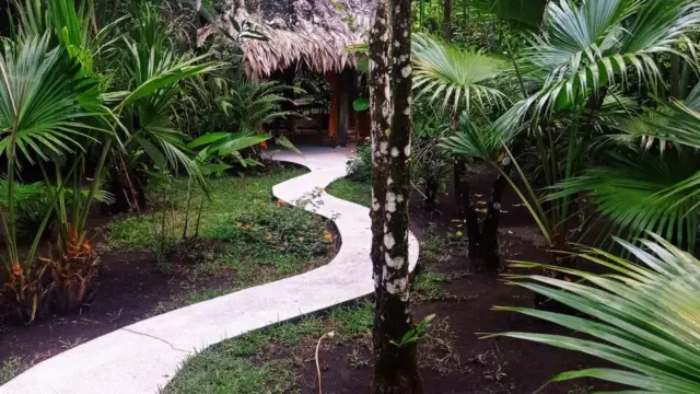 cabane tortuguero