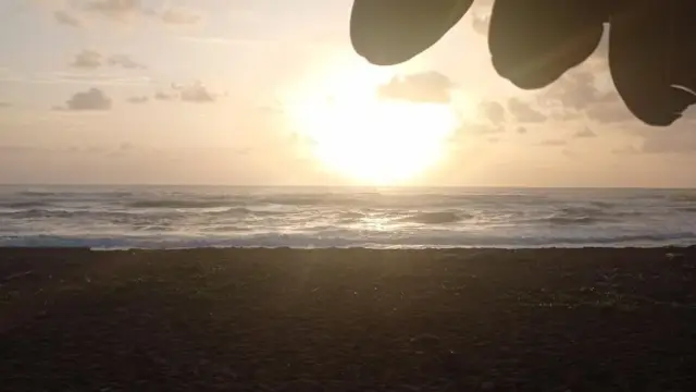 Playa tortuguero