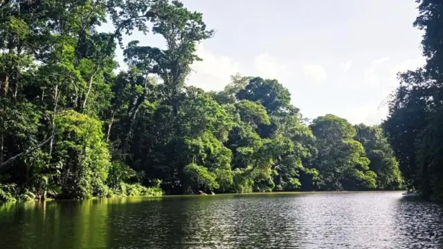 Tortuguero, canaux