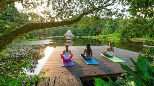 <b>Le Maquenque Eco Lodge, </b>dormir dans une cabane dans les arbres au Costa Rica